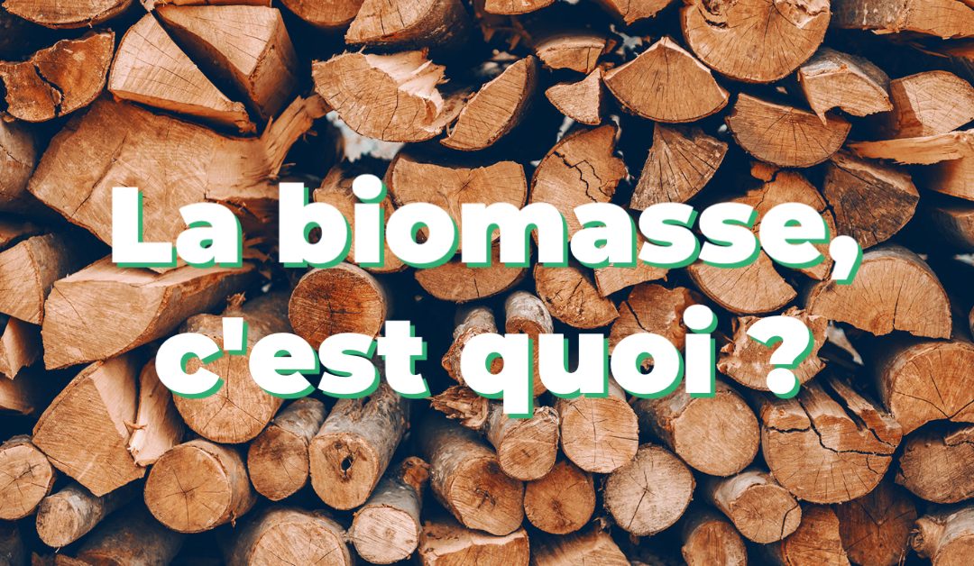 La biomasse, c’est quoi ?
