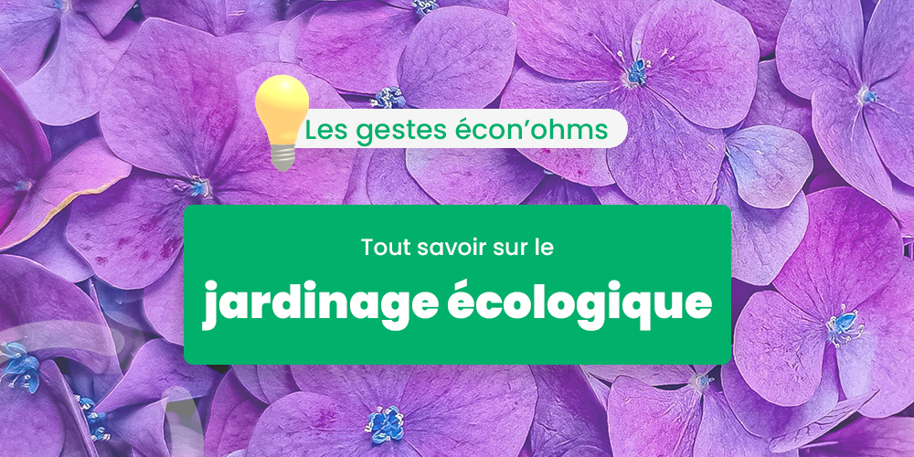 Jardinage écologique : comment avoir un jardin durable ?